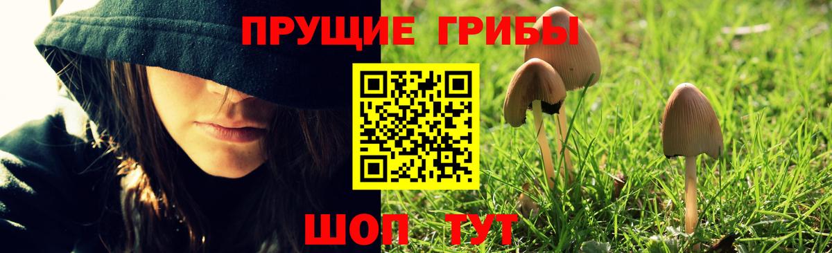 Галлюциногенные грибы Magic Shrooms  Вход с VPN  Дедовск 
