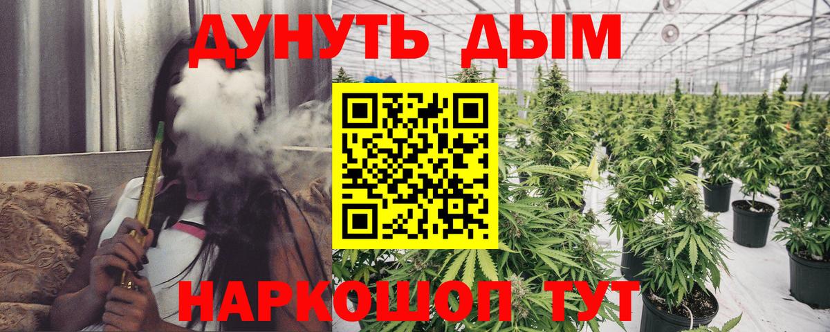 Шишки марихуана OG Kush Дедовск
